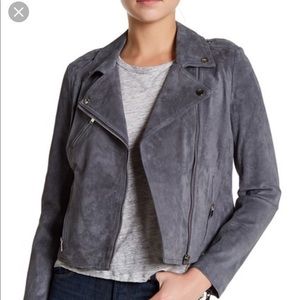 DOMA Gray Suede Moto Jacket NWT retail: $626.00